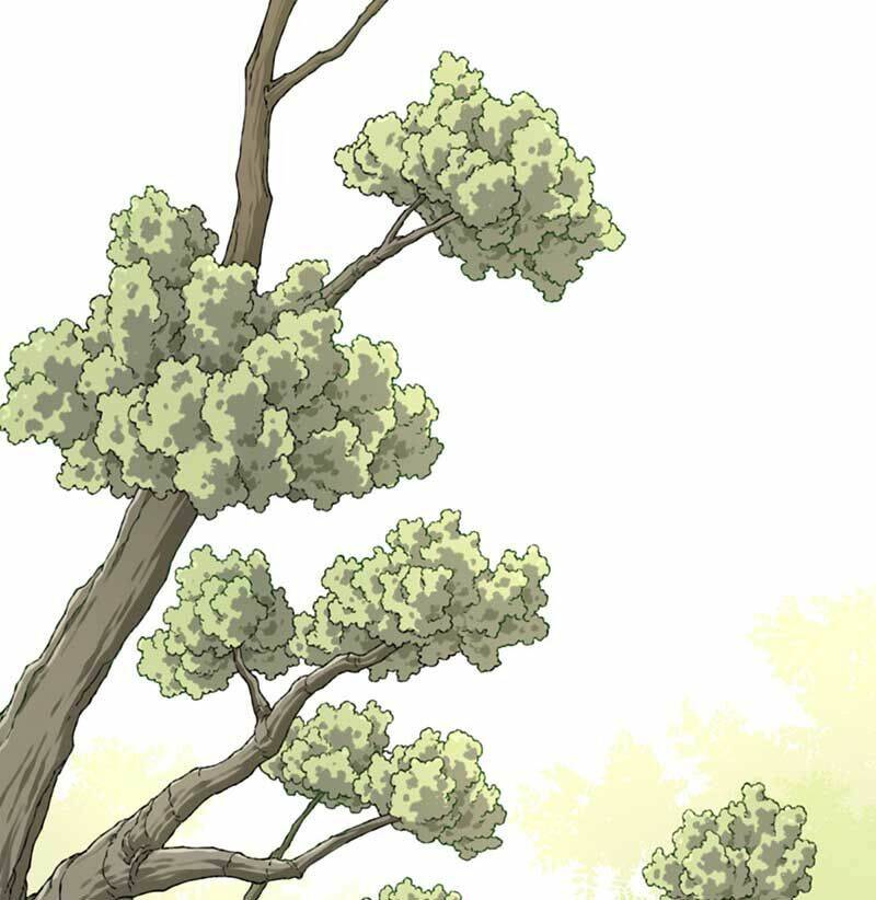 Ta Dùng Cơ Bắp Xưng Bá Tu Tiên Giới - Chapter 12 - Page 10