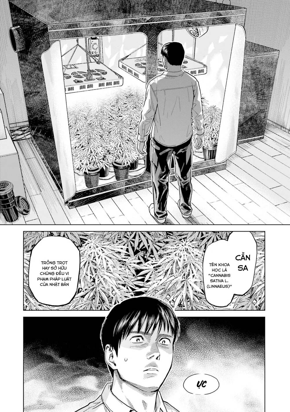 Vua Cần Sa - Chapter 3 - Page 12