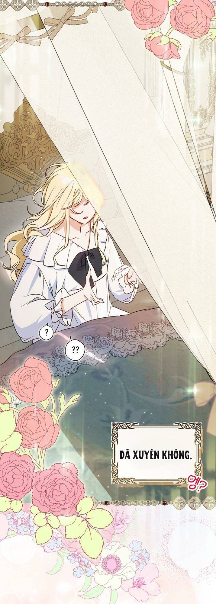 Hình Như Tôi Đã Xuyên Vào Cuốn Tiểu Thuyết Nào Đó Chapter 1 - Trang 8