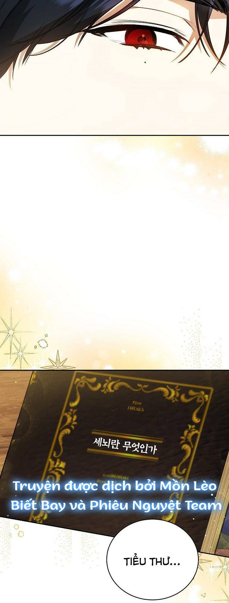 Hình Như Tôi Đã Xuyên Vào Cuốn Tiểu Thuyết Nào Đó Chapter 20 - Trang 17