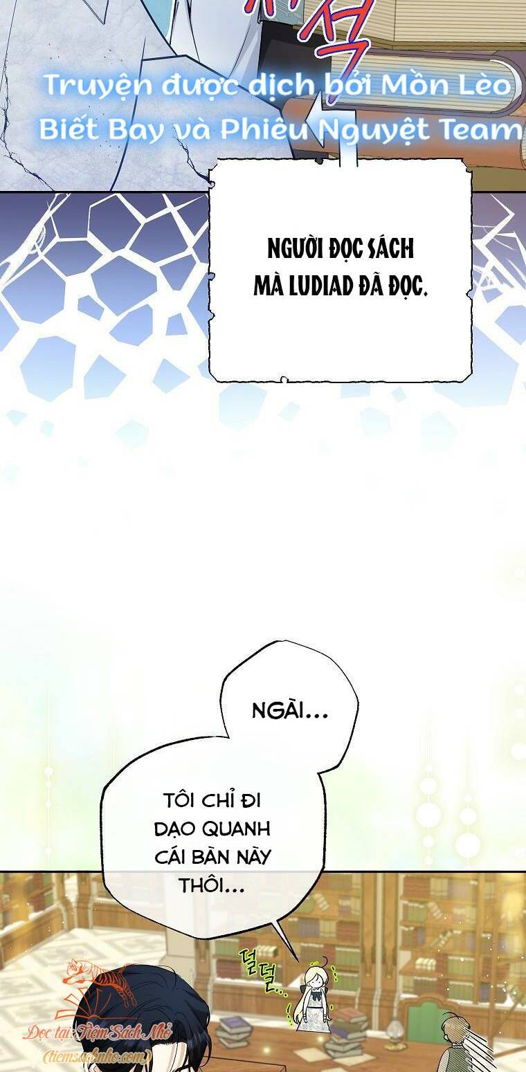 Hình Như Tôi Đã Xuyên Vào Cuốn Tiểu Thuyết Nào Đó Chapter 20 - Trang 21