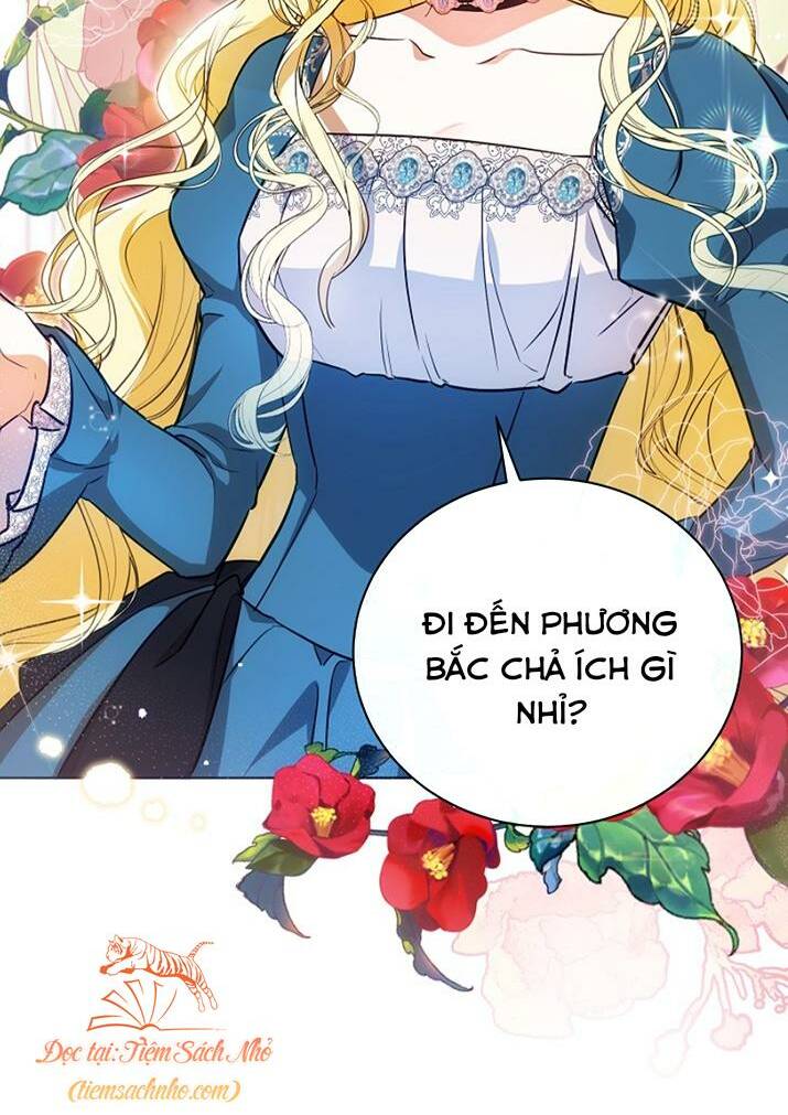 Hình Như Tôi Đã Xuyên Vào Cuốn Tiểu Thuyết Nào Đó Chapter 5 - Trang 14