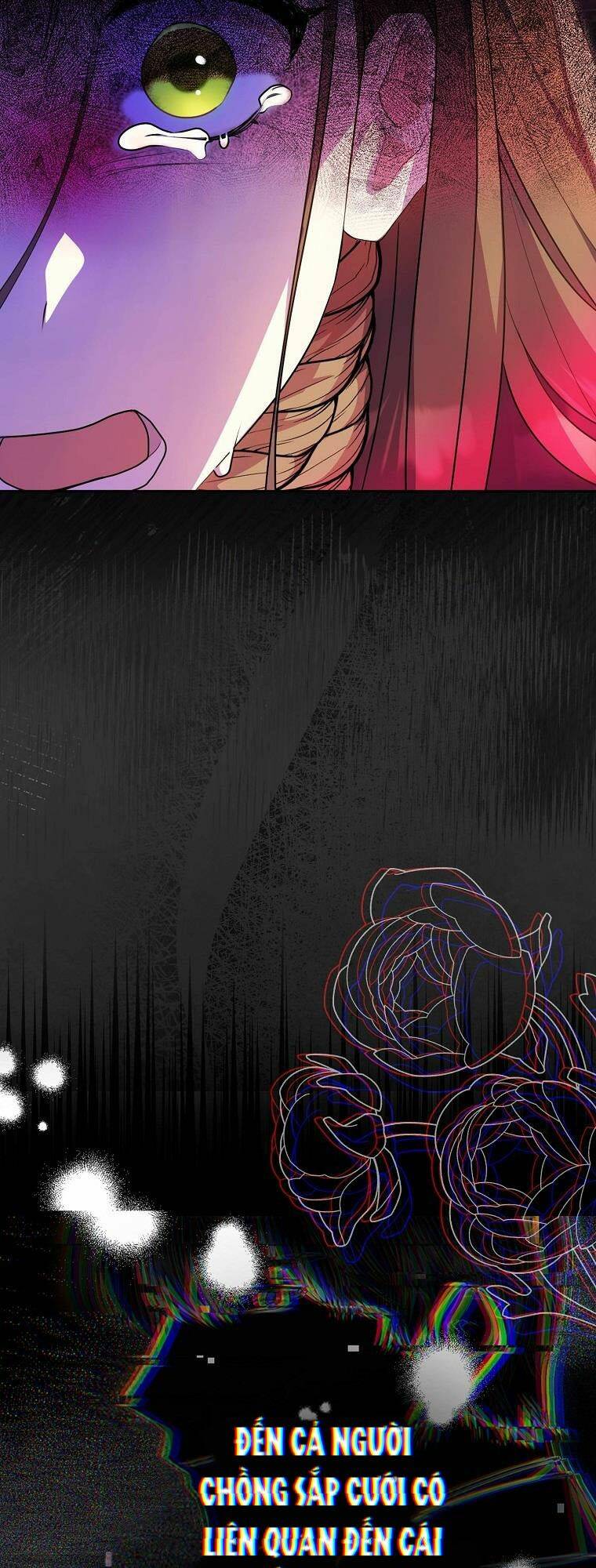 Sao Lại Ám Ảnh Cô Vợ Giả Mạo Quá Vậy? - Chapter 0 - Page 14