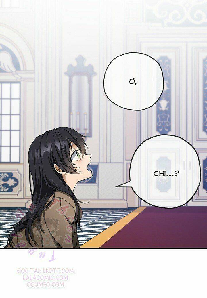 Lần Nữa Toả Sáng Chapter 2 - Trang 13