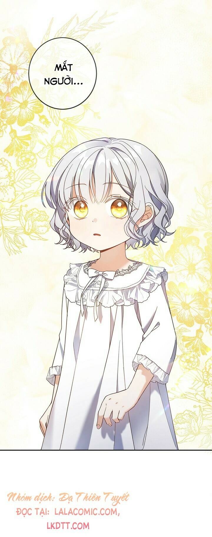 Lần Nữa Toả Sáng Chapter 24 - Trang 17