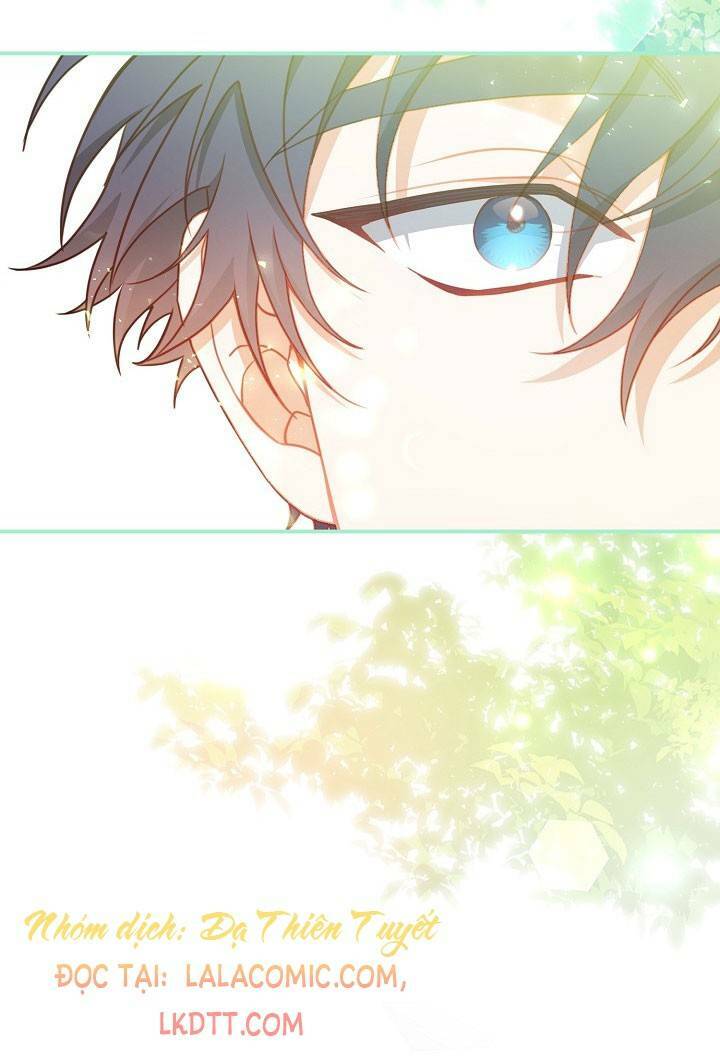 Lần Nữa Toả Sáng Chapter 29 - Trang 17