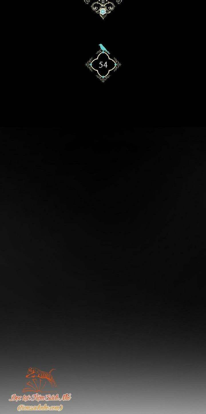 Lần Nữa Toả Sáng Chapter 54 - Trang 13