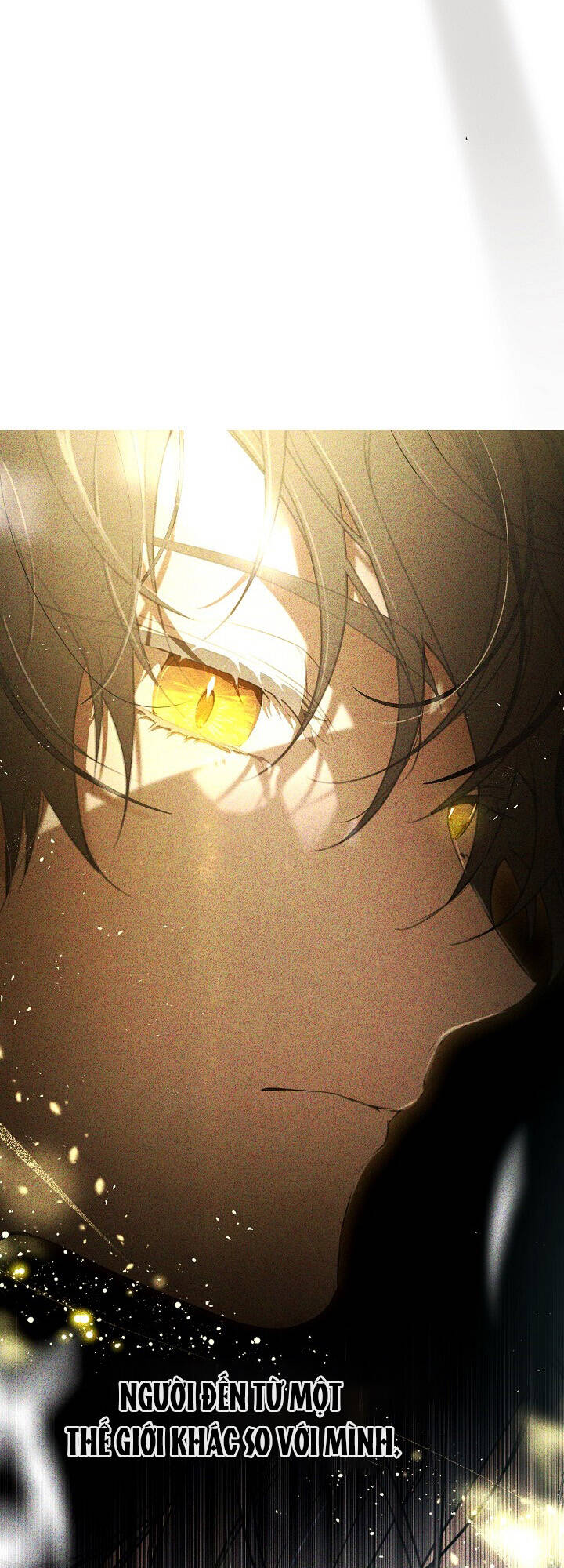 Lần Nữa Toả Sáng Chapter 66 - Trang 7