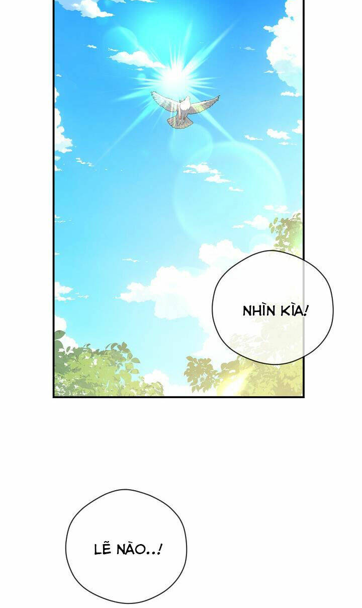 Lần Nữa Toả Sáng Chapter 79 - Trang 41