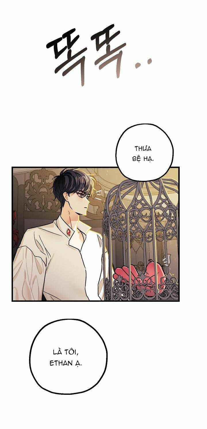 Liều Thuốc An Thần Của Bạo Chúa - Chapter 5 - Page 40