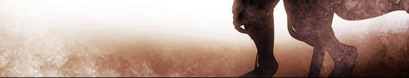 Bất Bại Chân Ma - Chapter 170 - Page 11