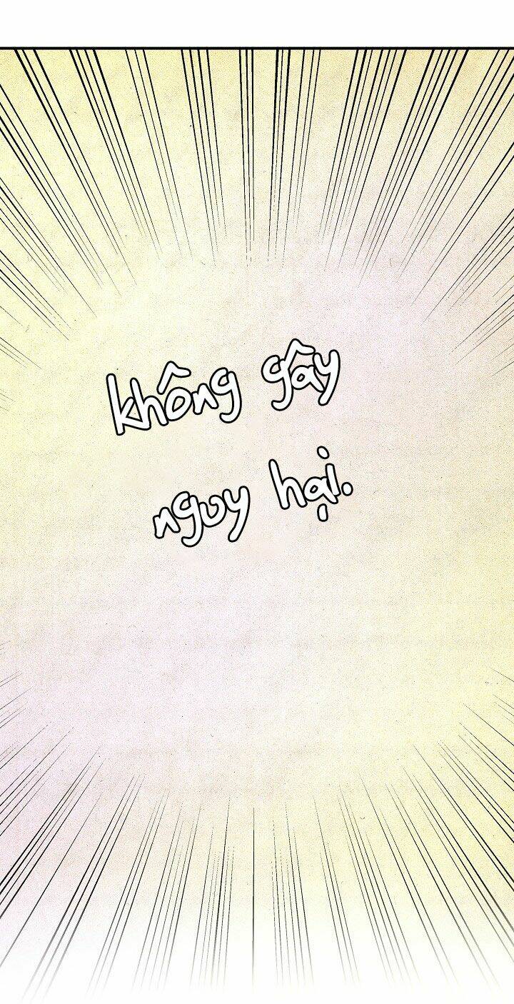 Tôi Không Phải Là Cinderella Chapter 21 - Trang 12