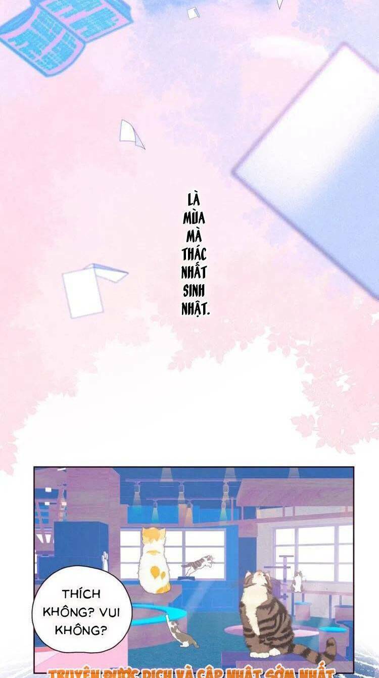 Vũ Xuyên Vật Ngữ Chapter 39 - Trang 22