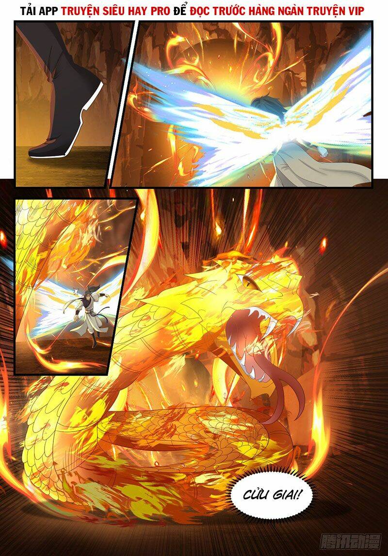 Võ Luyện Đỉnh Phong - Chapter 1079 - Page 4