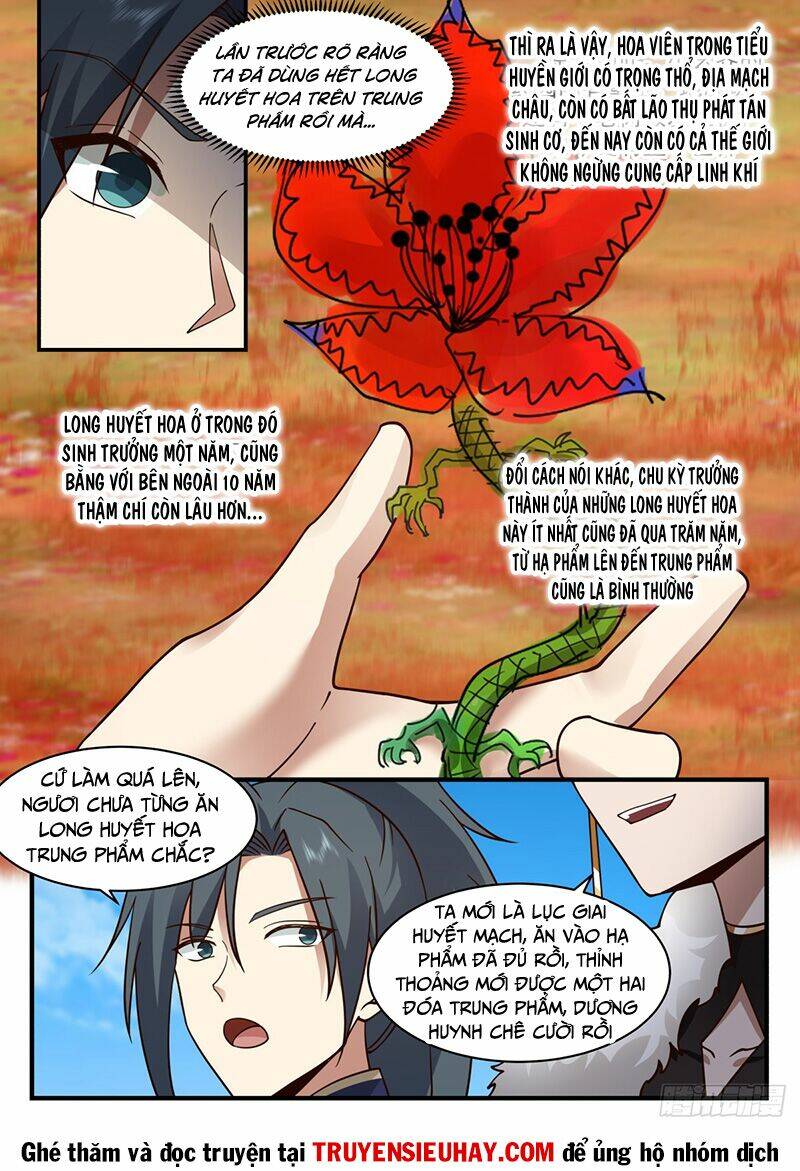 Võ Luyện Đỉnh Phong - Chapter 2299 - Page 11