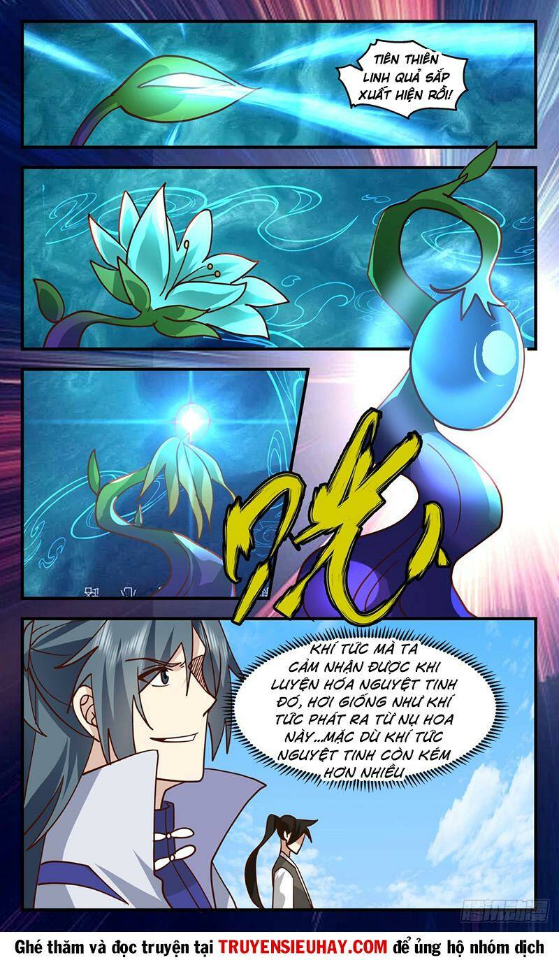 Võ Luyện Đỉnh Phong - Chapter 2689 - Page 5