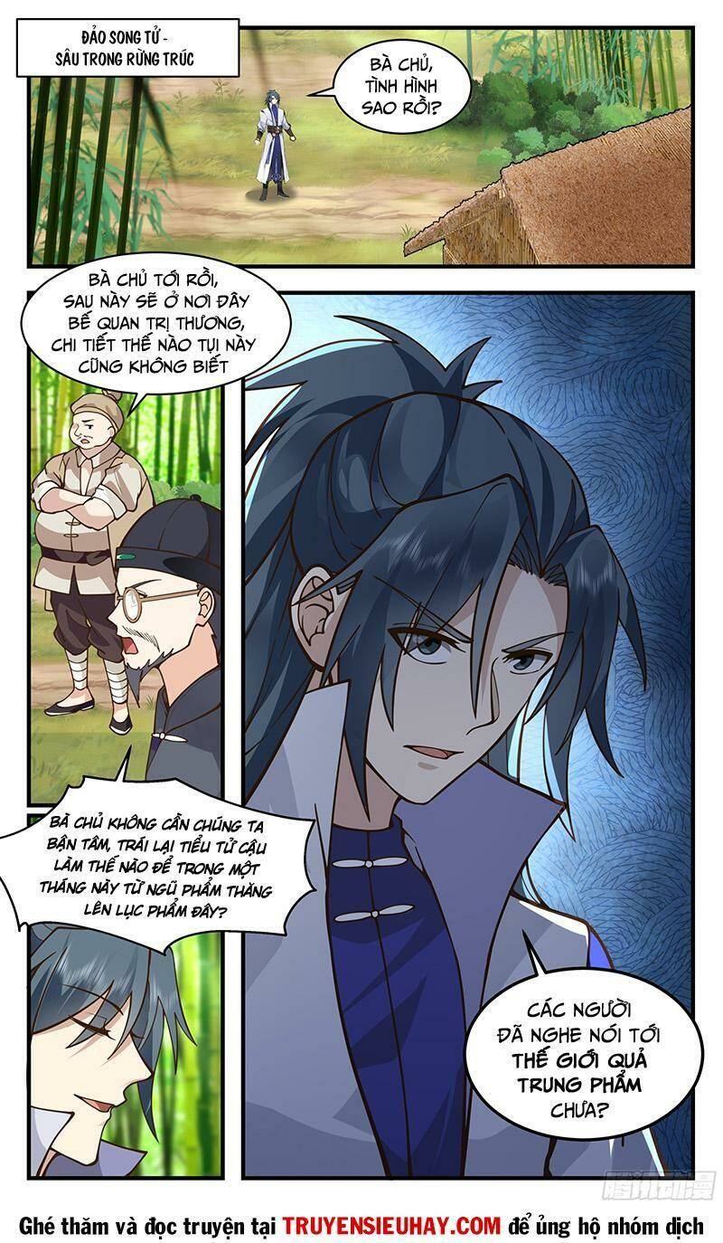 Võ Luyện Đỉnh Phong - Chapter 2792 - Page 12