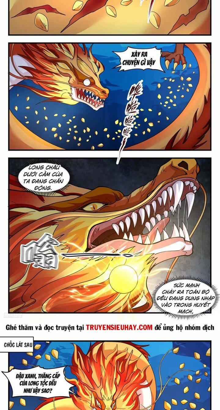 Võ Luyện Đỉnh Phong - Chapter 3224 - Page 8