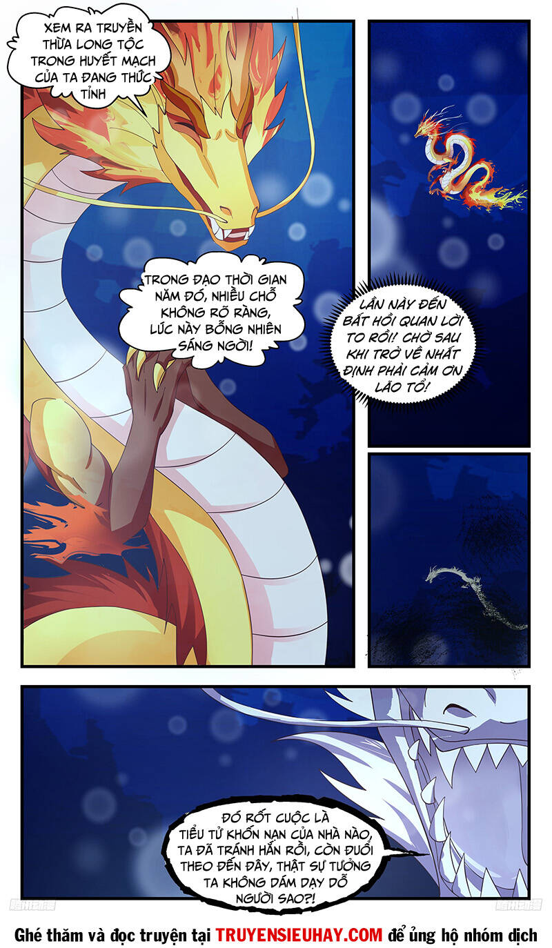 Võ Luyện Đỉnh Phong - Chapter 3226 - Page 5
