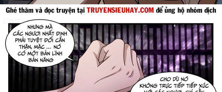 Võ Luyện Đỉnh Phong - Chapter 3270 - Page 13