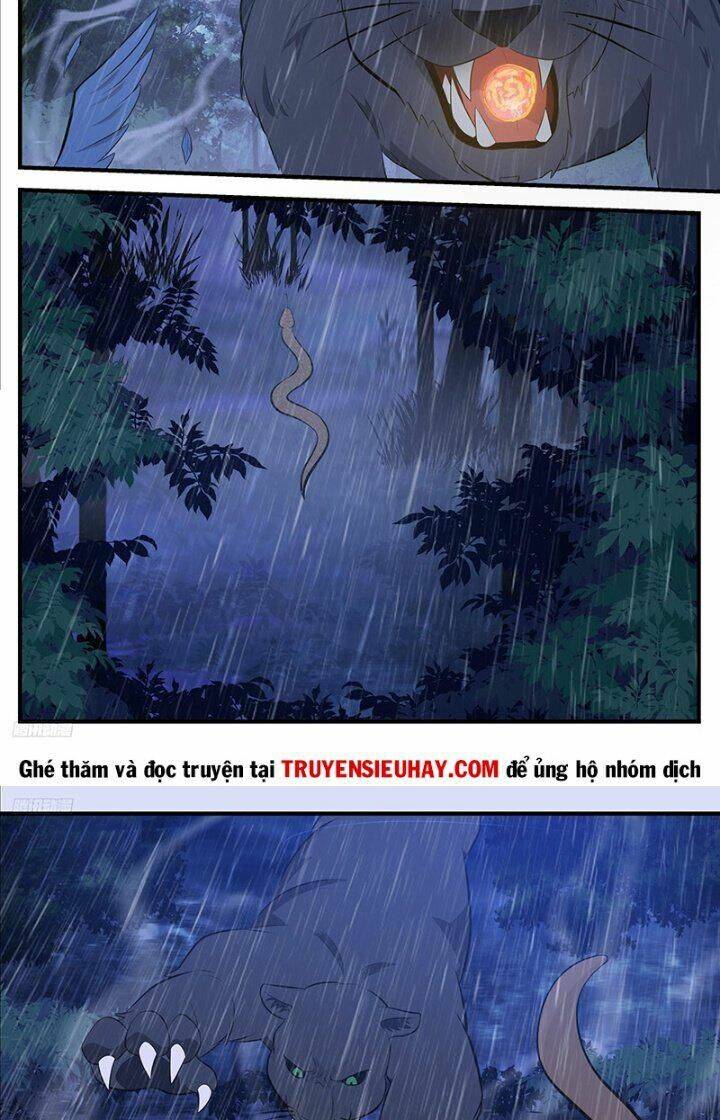 Võ Luyện Đỉnh Phong - Chapter 3414 - Page 10