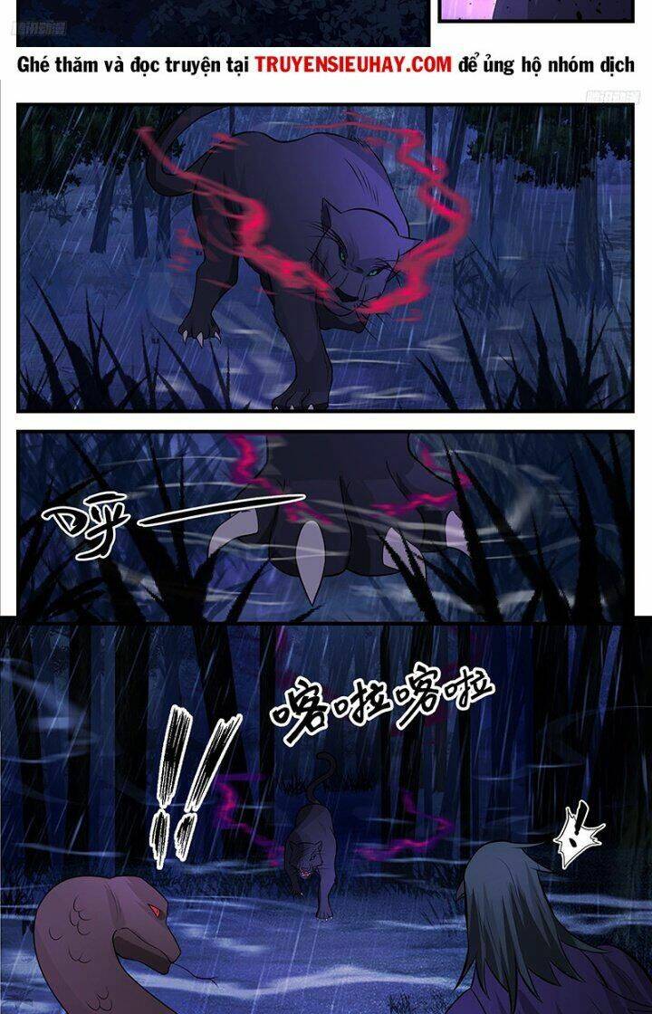 Võ Luyện Đỉnh Phong - Chapter 3414 - Page 4