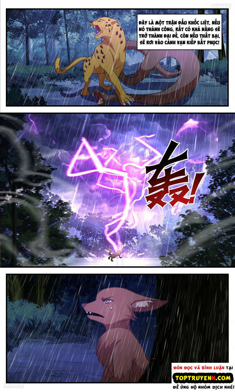 Võ Luyện Đỉnh Phong - Chapter 3415 - Page 5