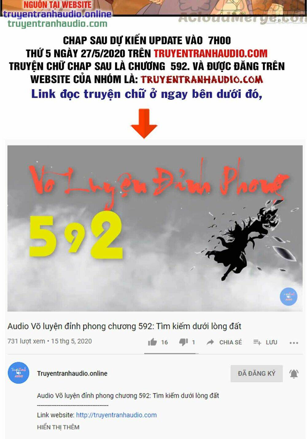 Võ Luyện Đỉnh Phong - Chapter 558 - Page 13