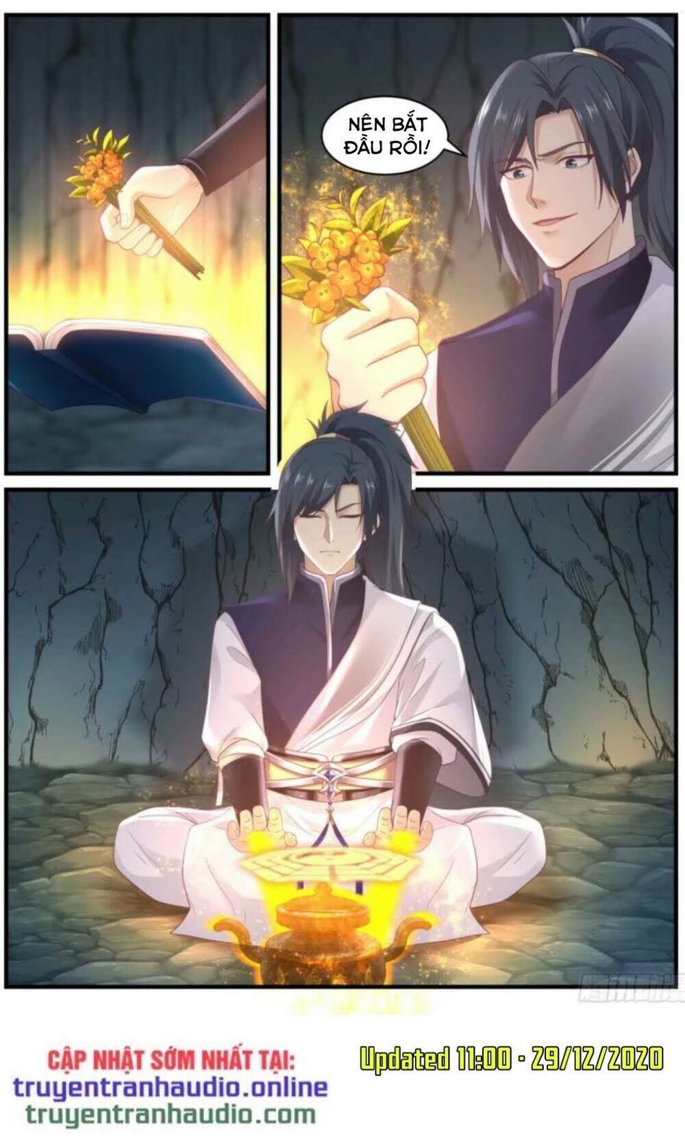 Võ Luyện Đỉnh Phong - Chapter 866 - Page 10