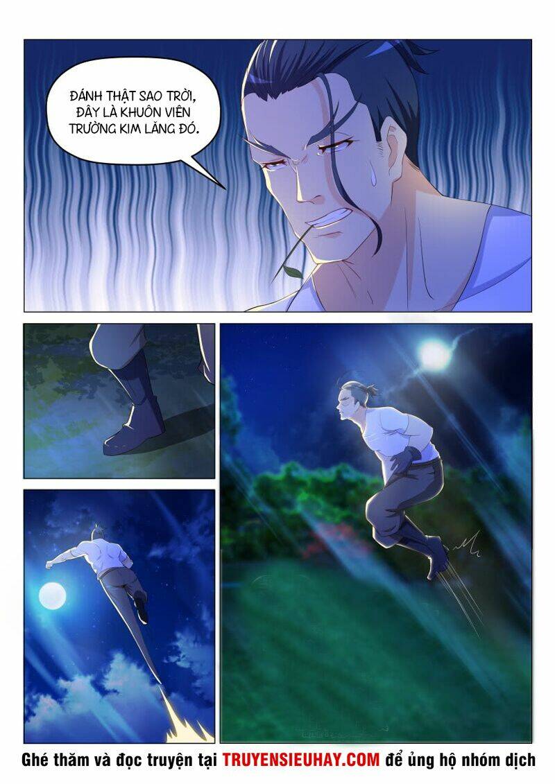 Trọng Sinh Đô Thị Tu Tiên - Chapter 179 - Page 12