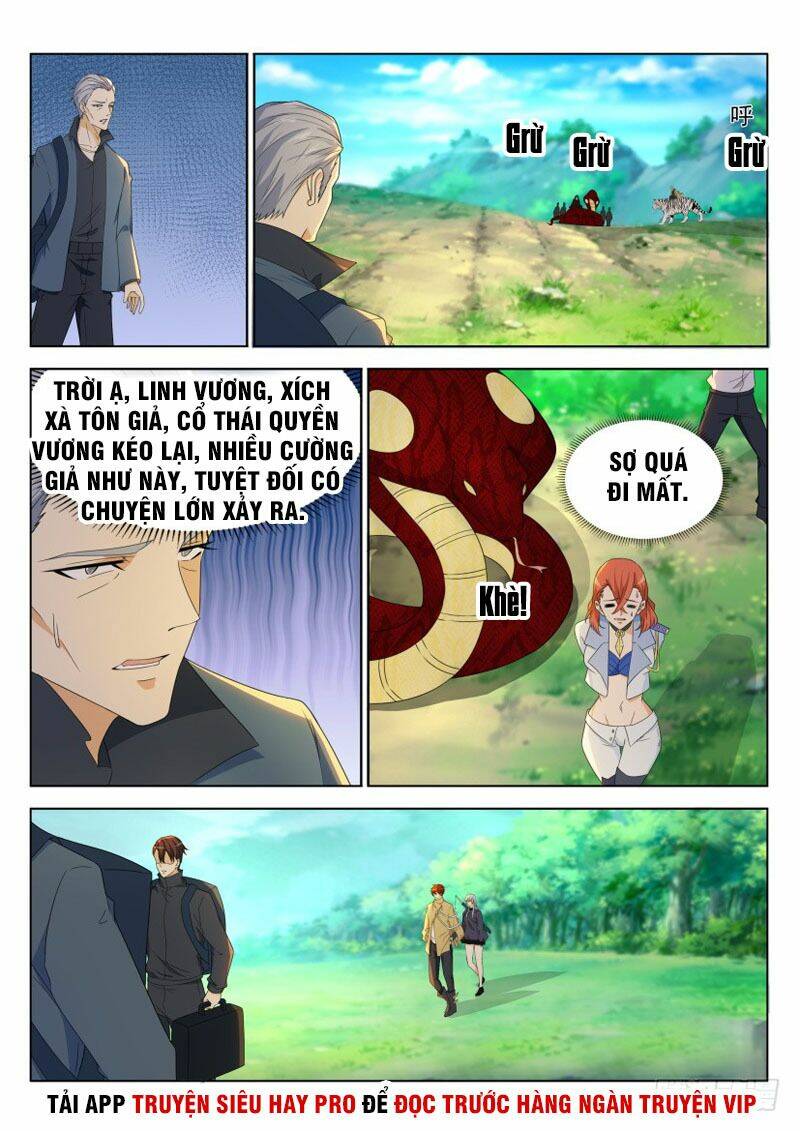 Trọng Sinh Đô Thị Tu Tiên - Chapter 276 - Page 12