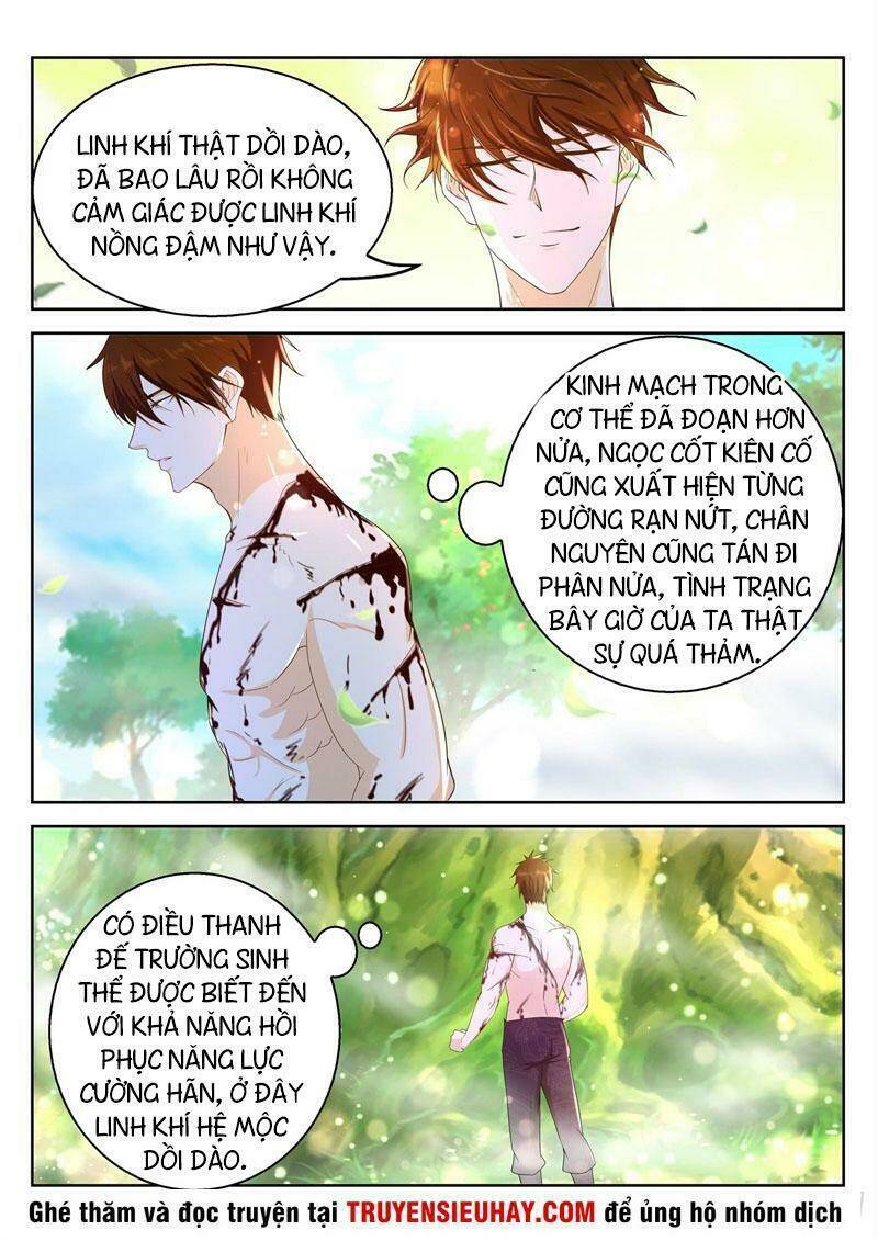 Trọng Sinh Đô Thị Tu Tiên - Chapter 374 - Page 8