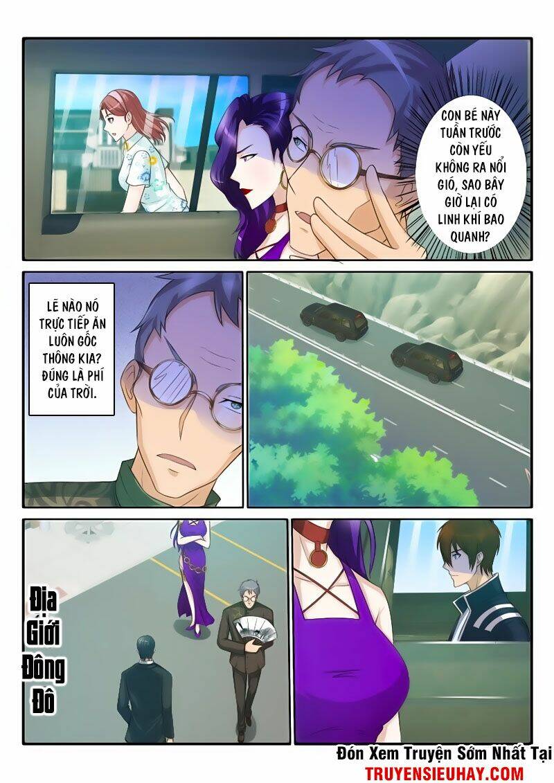 Trọng Sinh Đô Thị Tu Tiên - Chapter 46 - Page 11