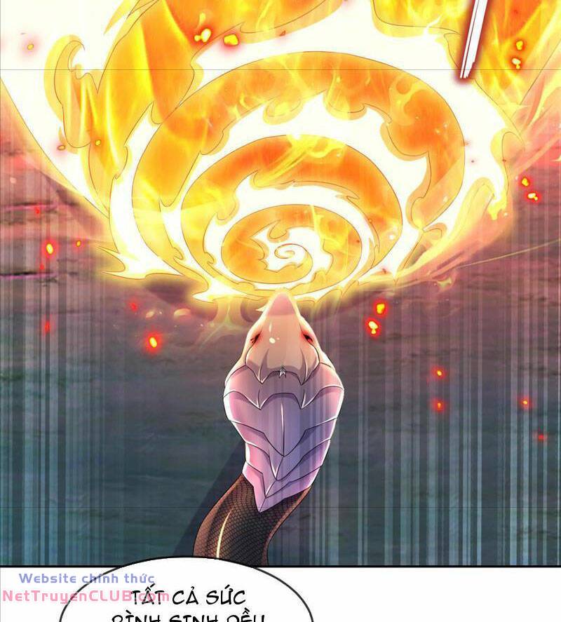 Tuyệt Sắc Đạo Lữ Đều Nói Ngô Hoàng Thể Chất Vô Địch Chapter 115 - Trang 22