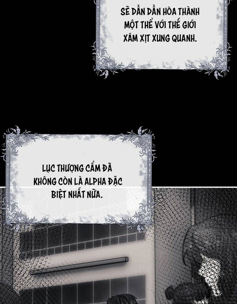 Chấp Sự Thỏ Cụp Tai - Chapter 90 - Page 54