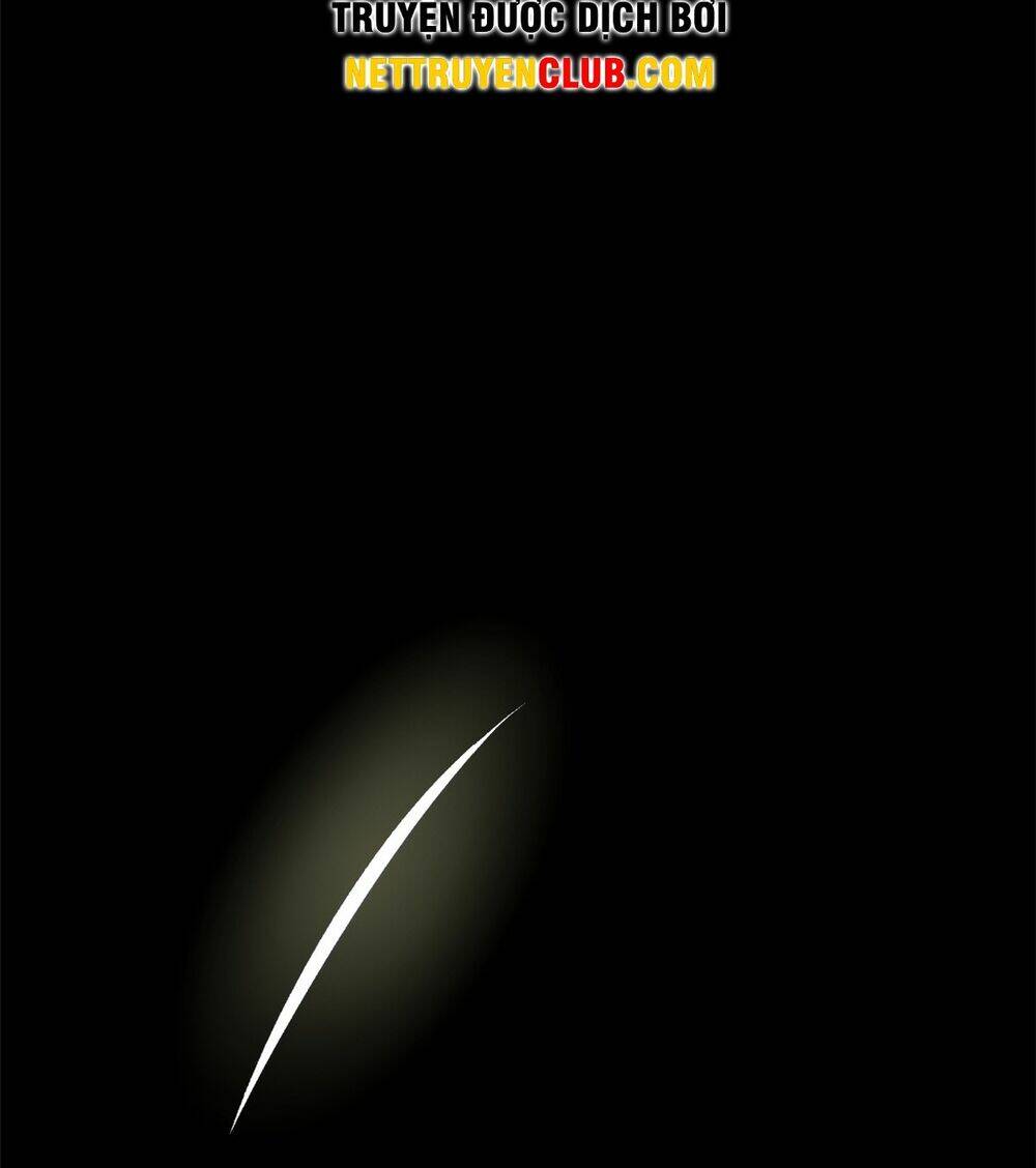 Đỉnh Cấp Khí Vận Lặng Lẽ Tu Luyện Ngàn Năm - Chapter 146 - Page 14