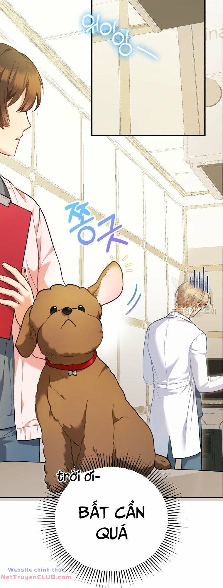 Xin Chào! Bác Sĩ Thú Y - Chapter 3 - Page 12