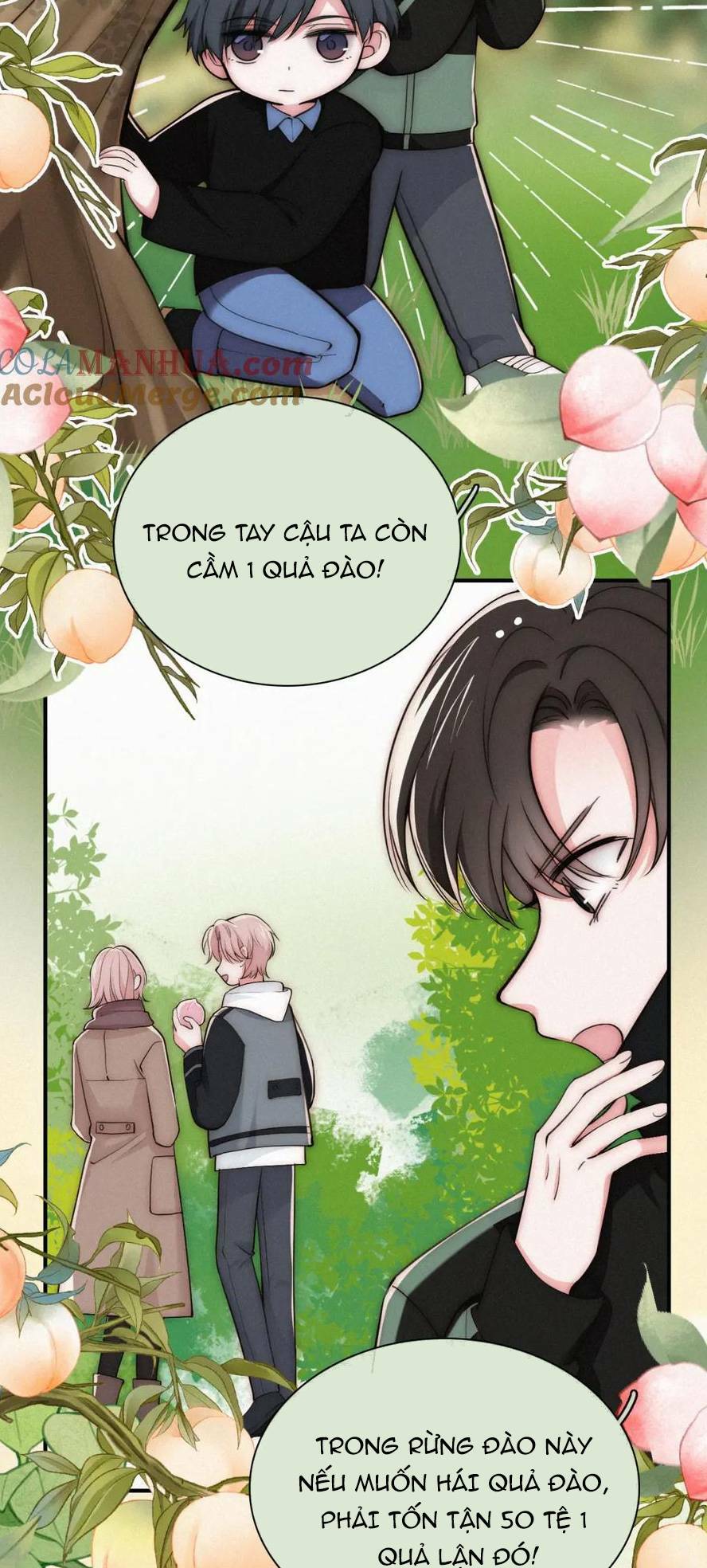 Bá Vương Sủng Ái Cô Vợ Mù - Chapter 73 - Page 15