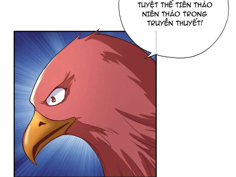 Ta Có Thể Đốn Ngộ Vô Hạn - Chapter 72 - Page 26