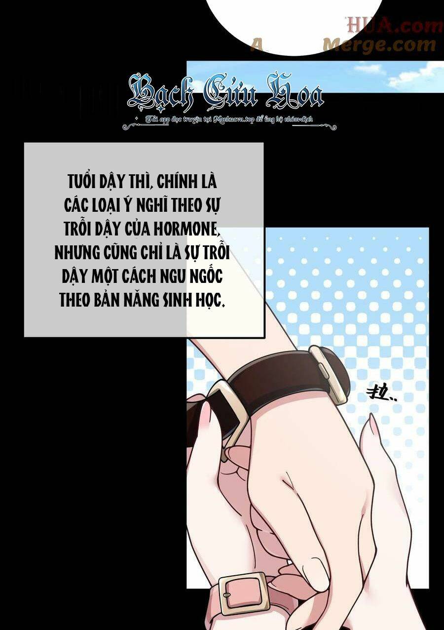 Làm Sao Để Chạy Trốn Dàn Hậu Cung Chapter 90 - Trang 4
