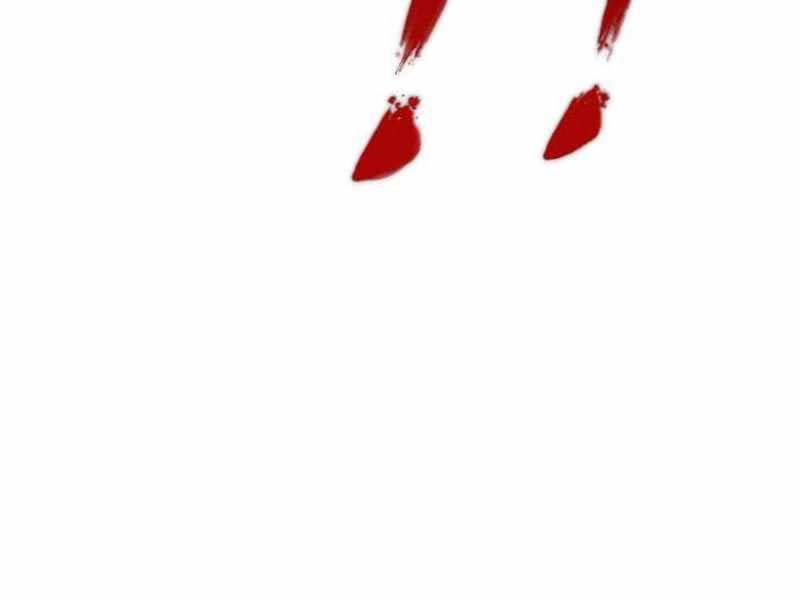 Đặc Vụ Kim - Chapter 122 - Page 104