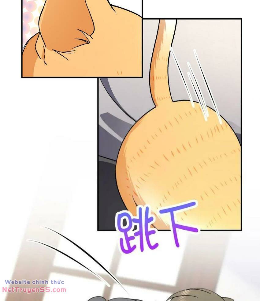 Bà Xã Nhà Tôi Đến Từ Ngàn Năm Trước - Chapter 184 - Page 25