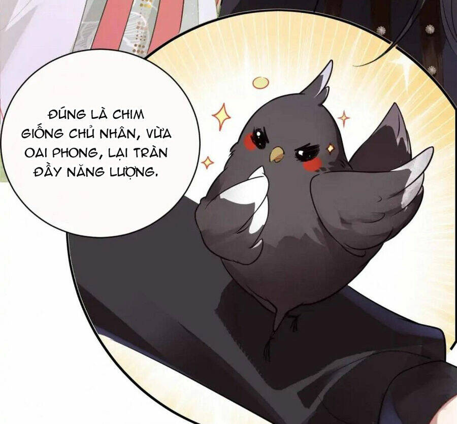 Sau Khi Công Chúa Bội Tình Bạc Nghĩa - Chapter 27 - Page 10