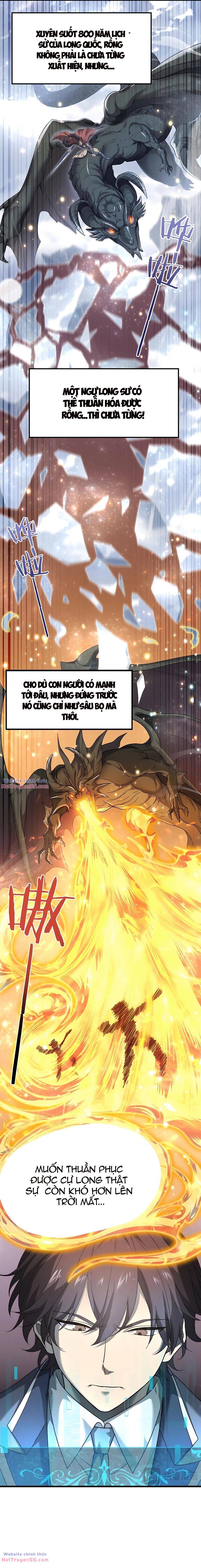 Toàn Dân Chuyển Chức Ngự Long Sư Là Chức Nghiệp Yếu Nhất - Chapter 2 - Page 5