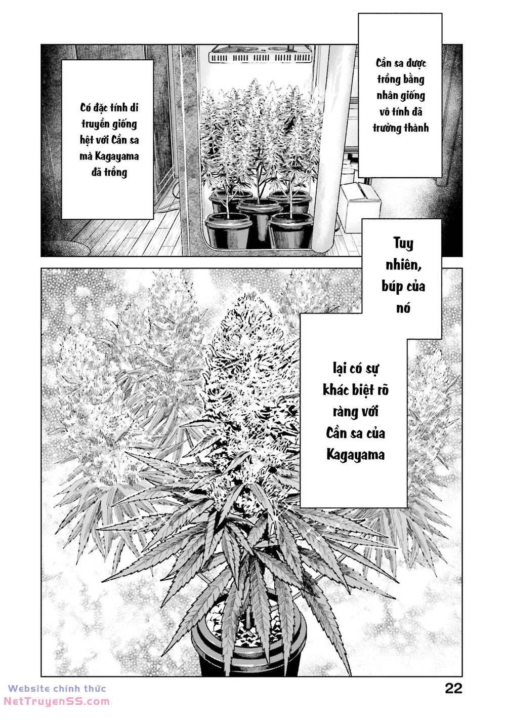 Vua Cần Sa - Chapter 8 - Page 21