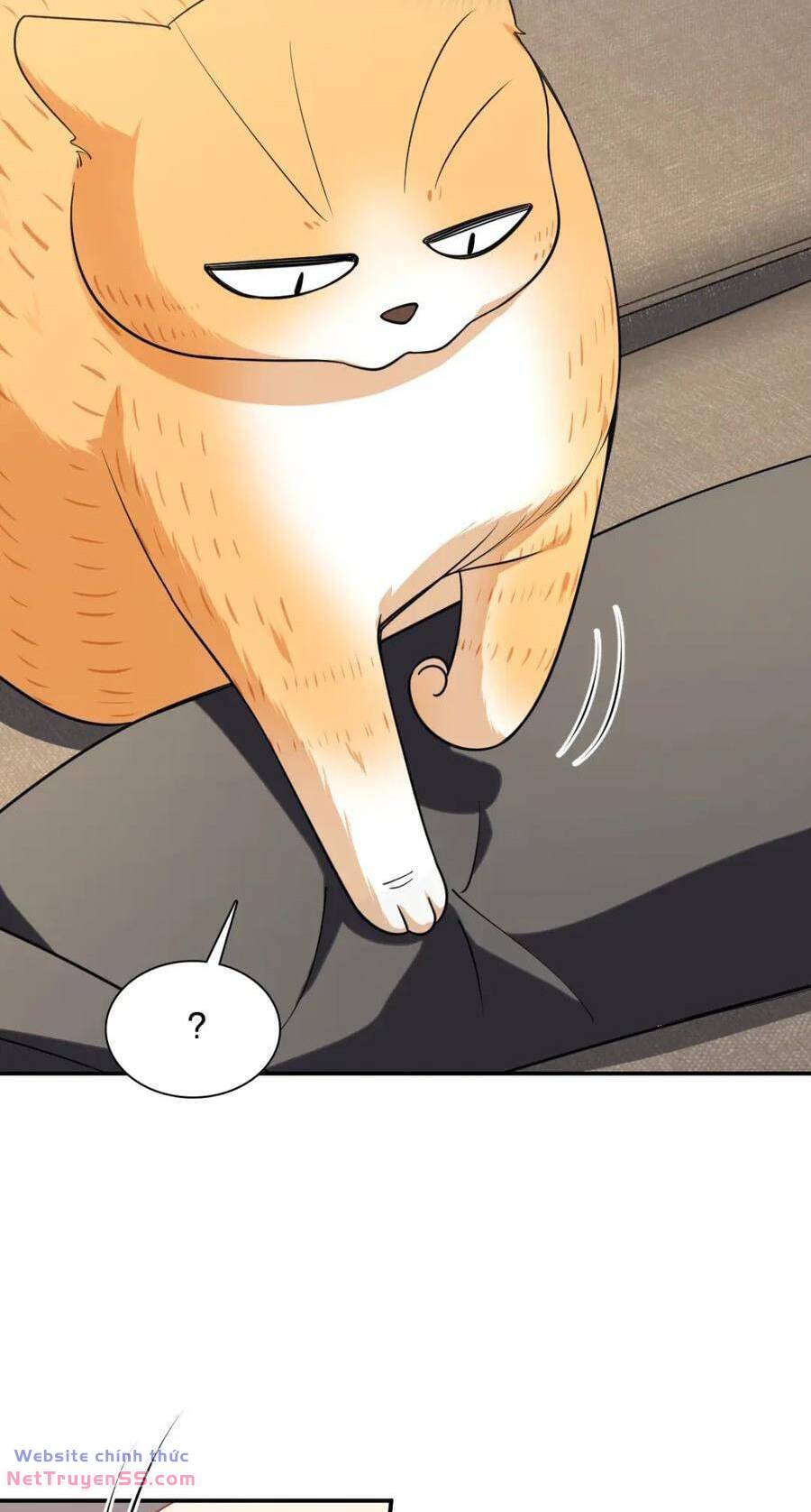 Bà Xã Nhà Tôi Đến Từ Ngàn Năm Trước - Chapter 194 - Page 34