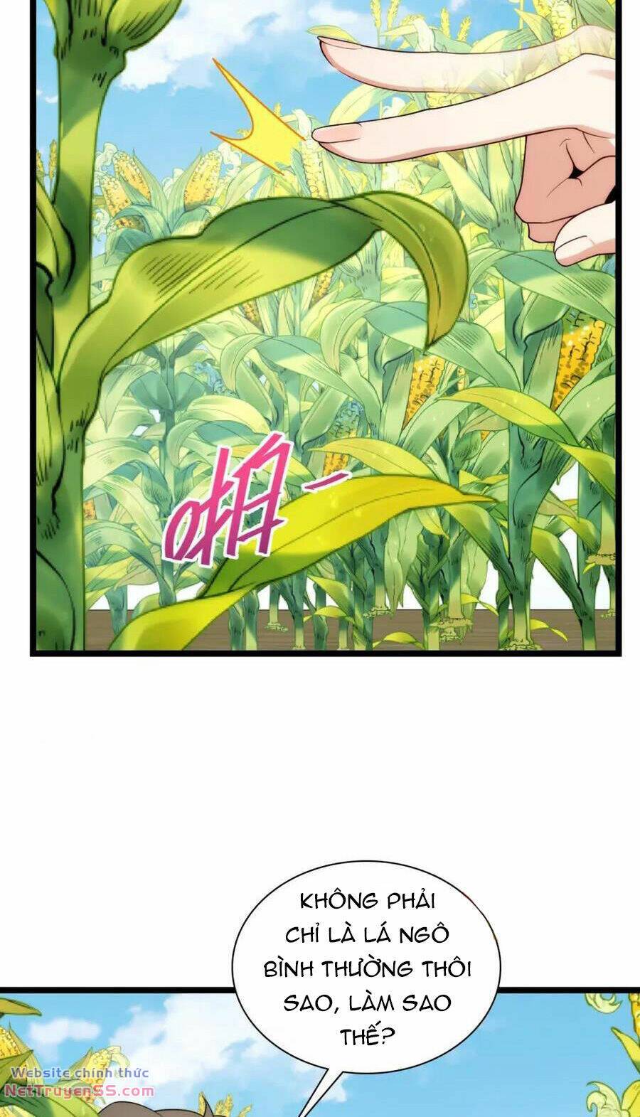 Bà Xã Nhà Tôi Đến Từ Ngàn Năm Trước - Chapter 206 - Page 12