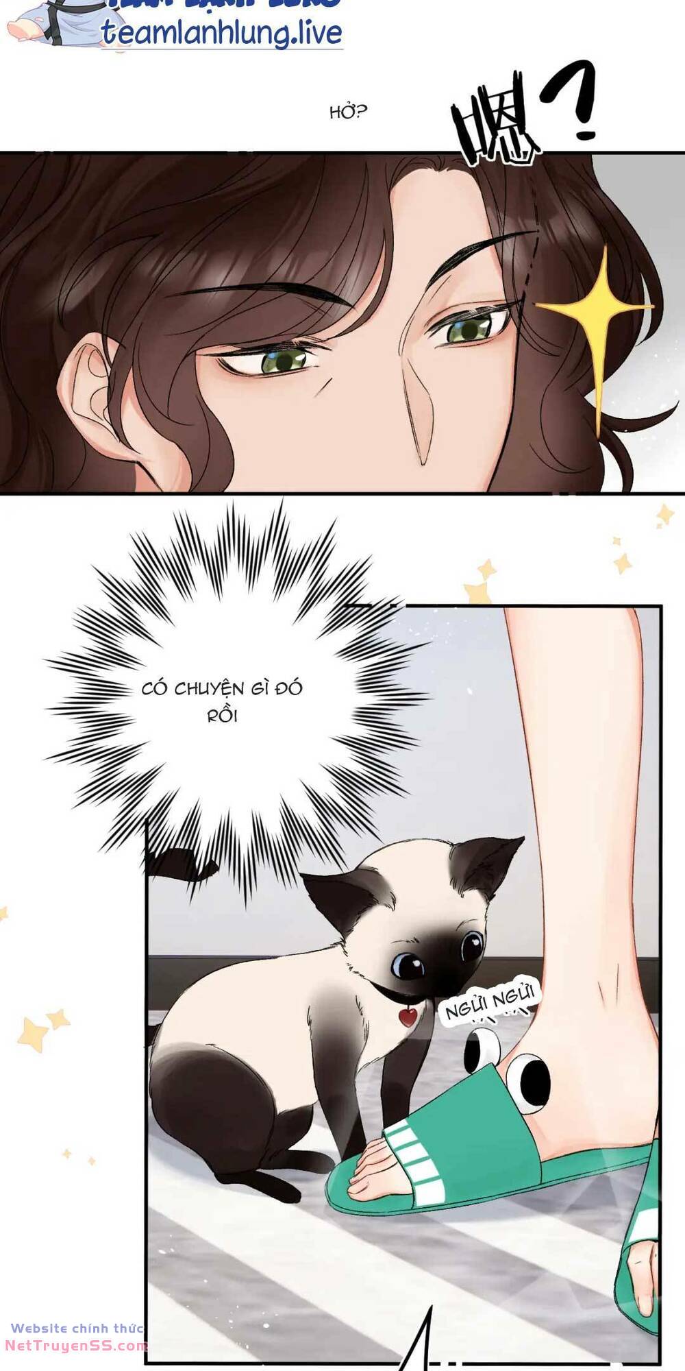 Thỉnh Đa Loan Chiếu - Chapter 5 - Page 12