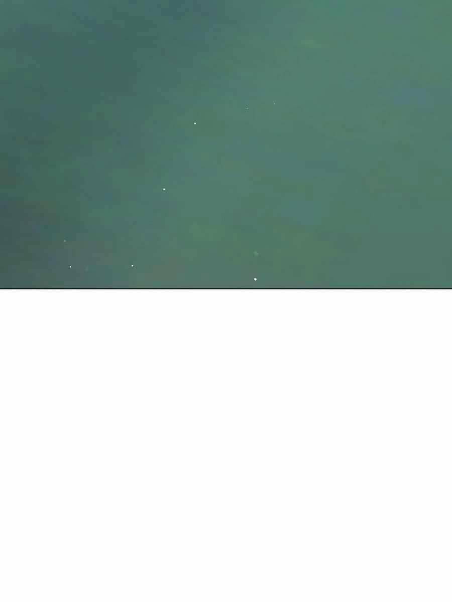 Tôi Làm Vườn Tại Thế Giới Thợ Săn - Chapter 18 - Page 132