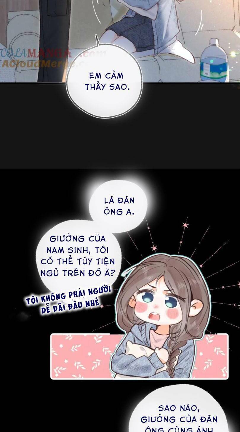 Tôi Mộng Giữa Ban Ngày - Chapter 40 - Page 15